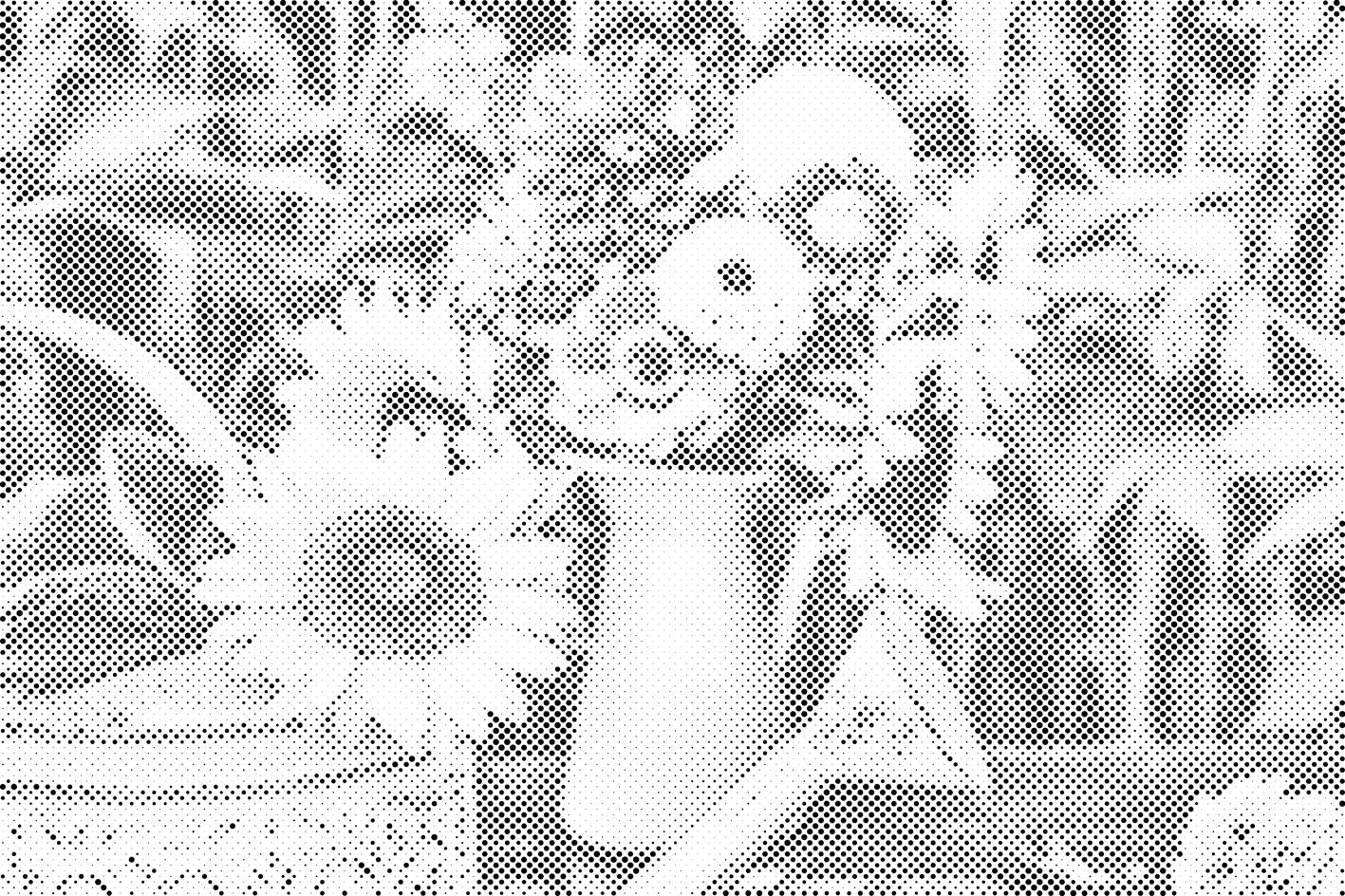 Sonnenblume in einer Kappe - Dottingo
