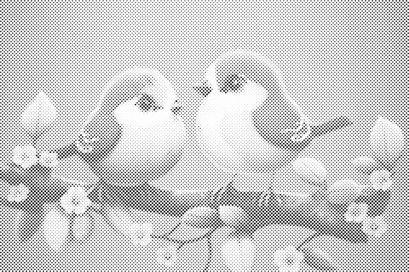 Niedliche Vögel - Dottingo