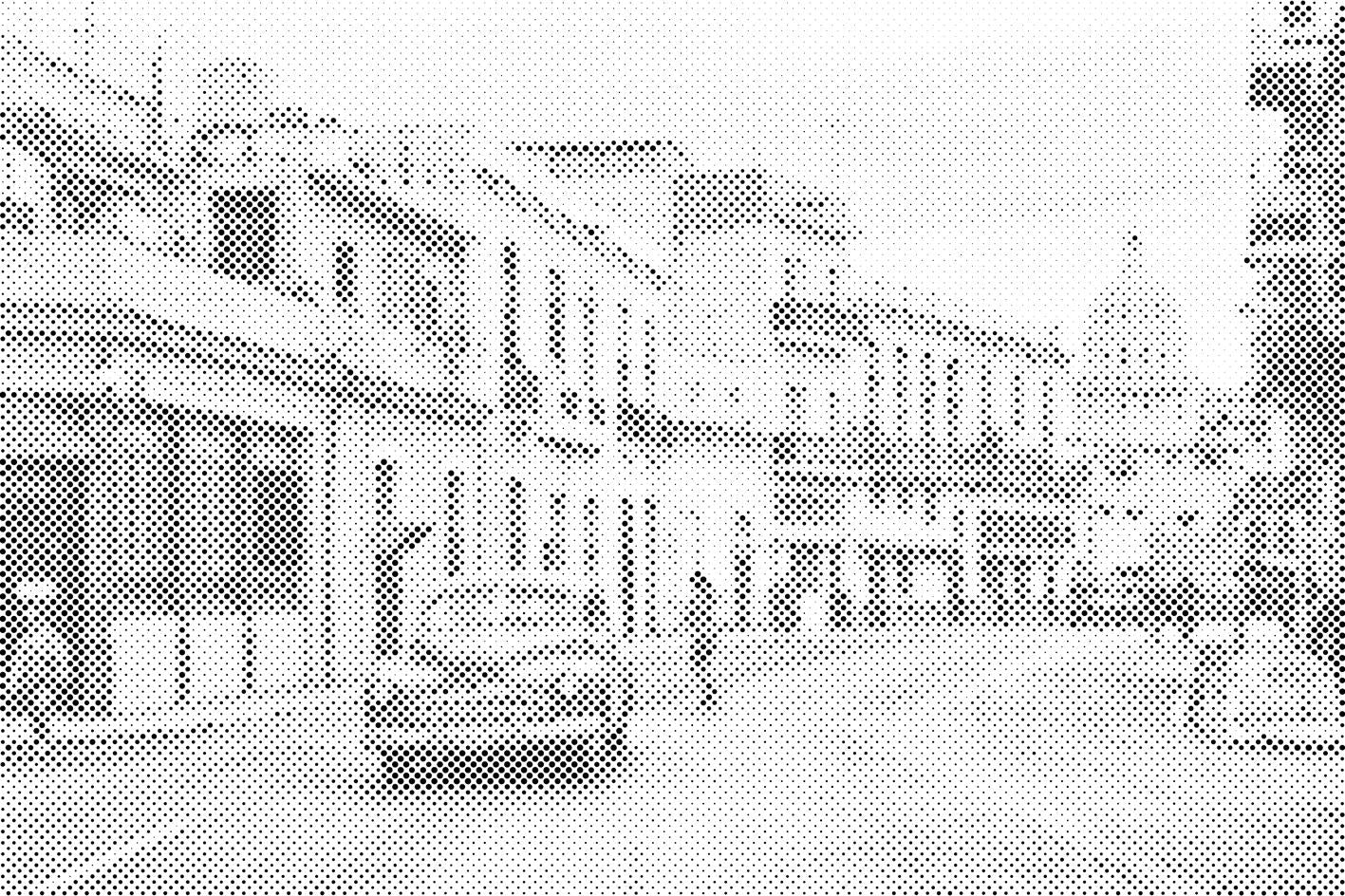 Havanna - Dottingo