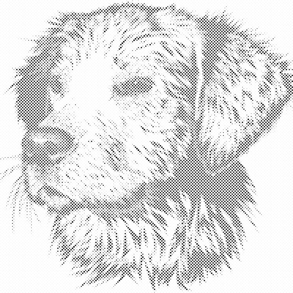 Abbildung eines Hundes - Dottingo
