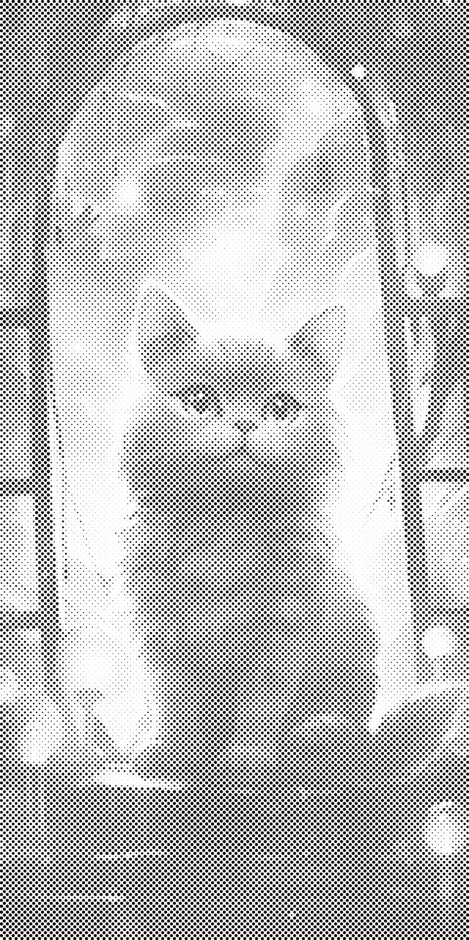 Katze im Fenster - Dottingo