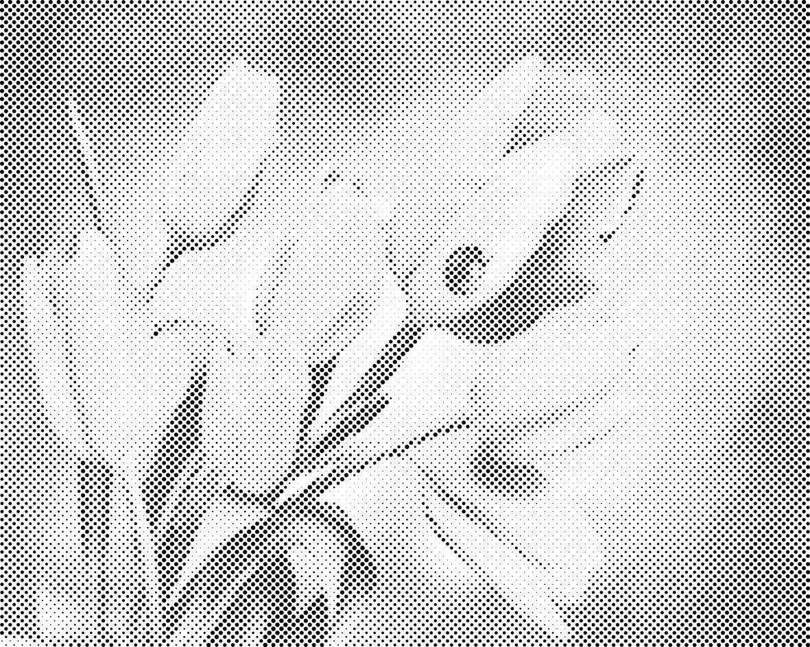 Tulpen und Marienkäfer - Dottingo