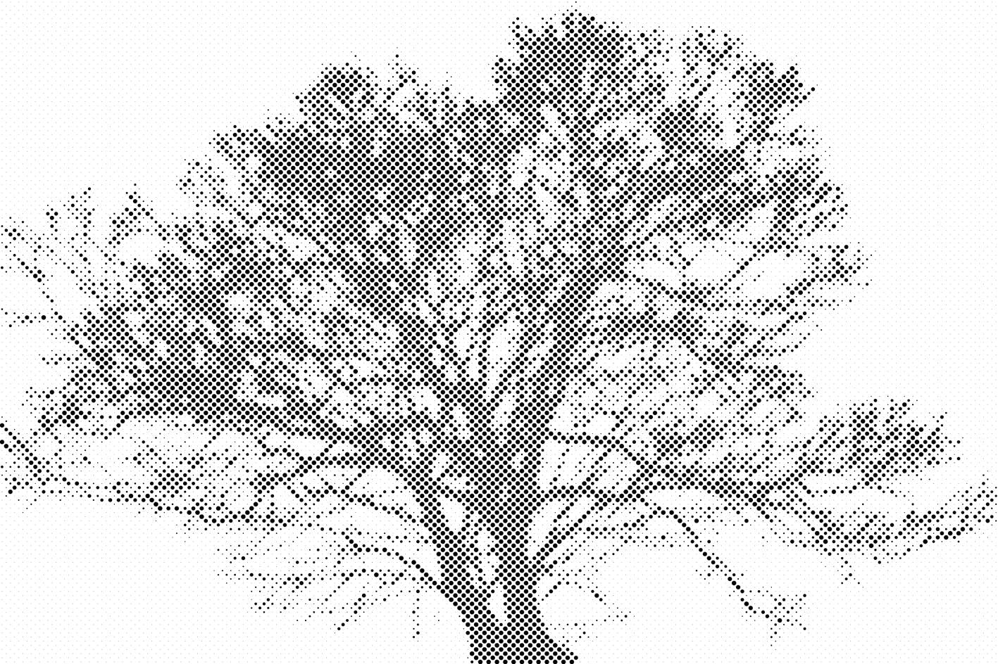 Schwarz-weißer Baum - Dottingo