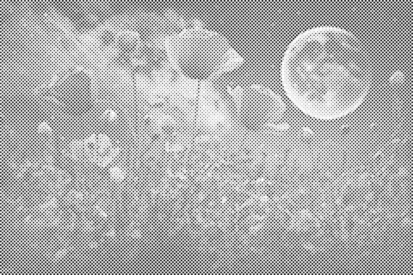 Mohnblumen im Mondlicht - Dottingo