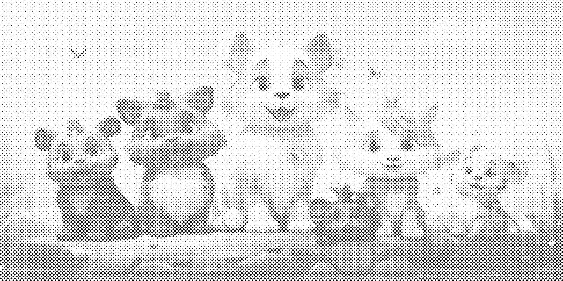 Tierparty - Dottingo