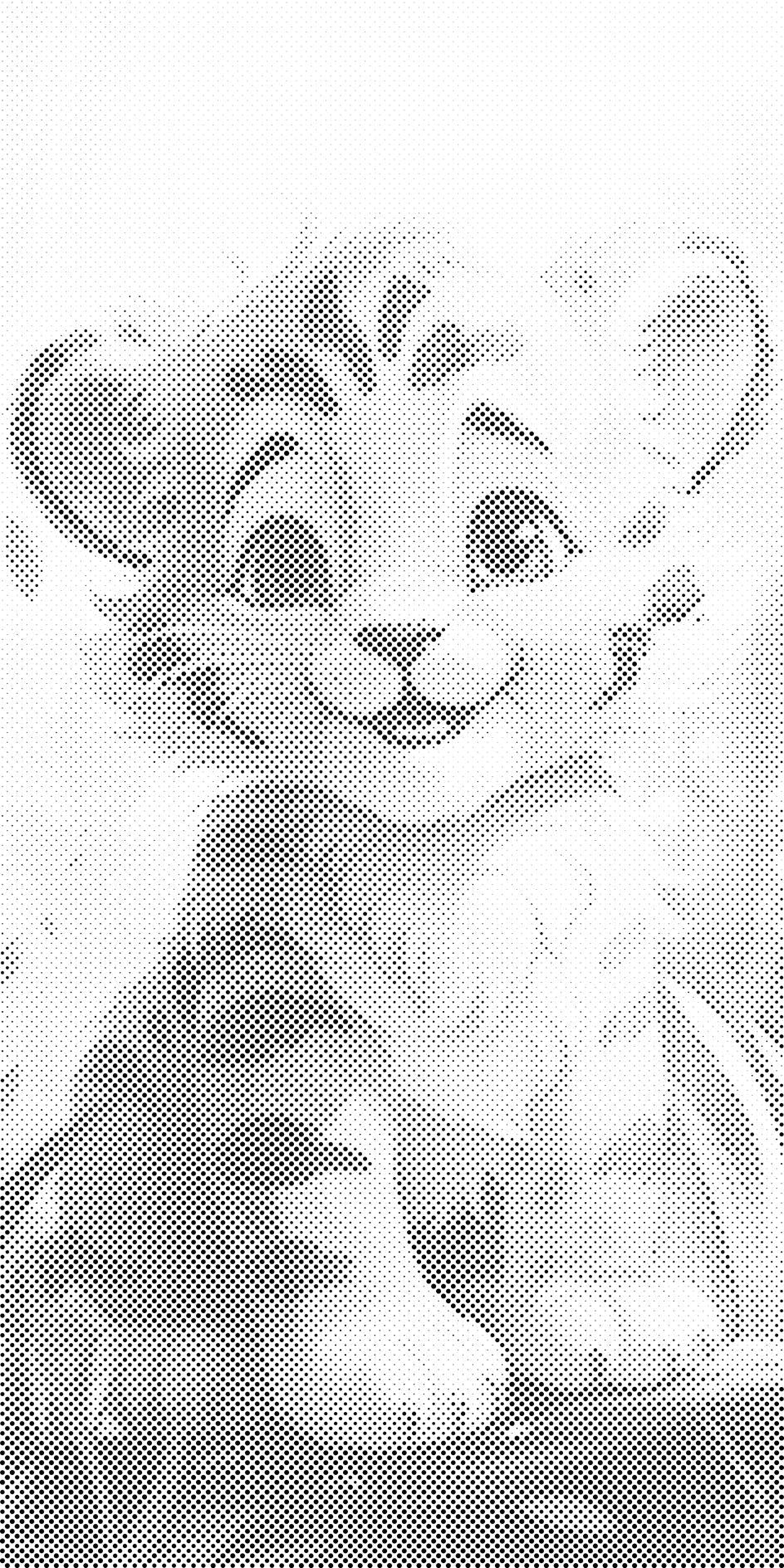 Tigerjunges - Dottingo