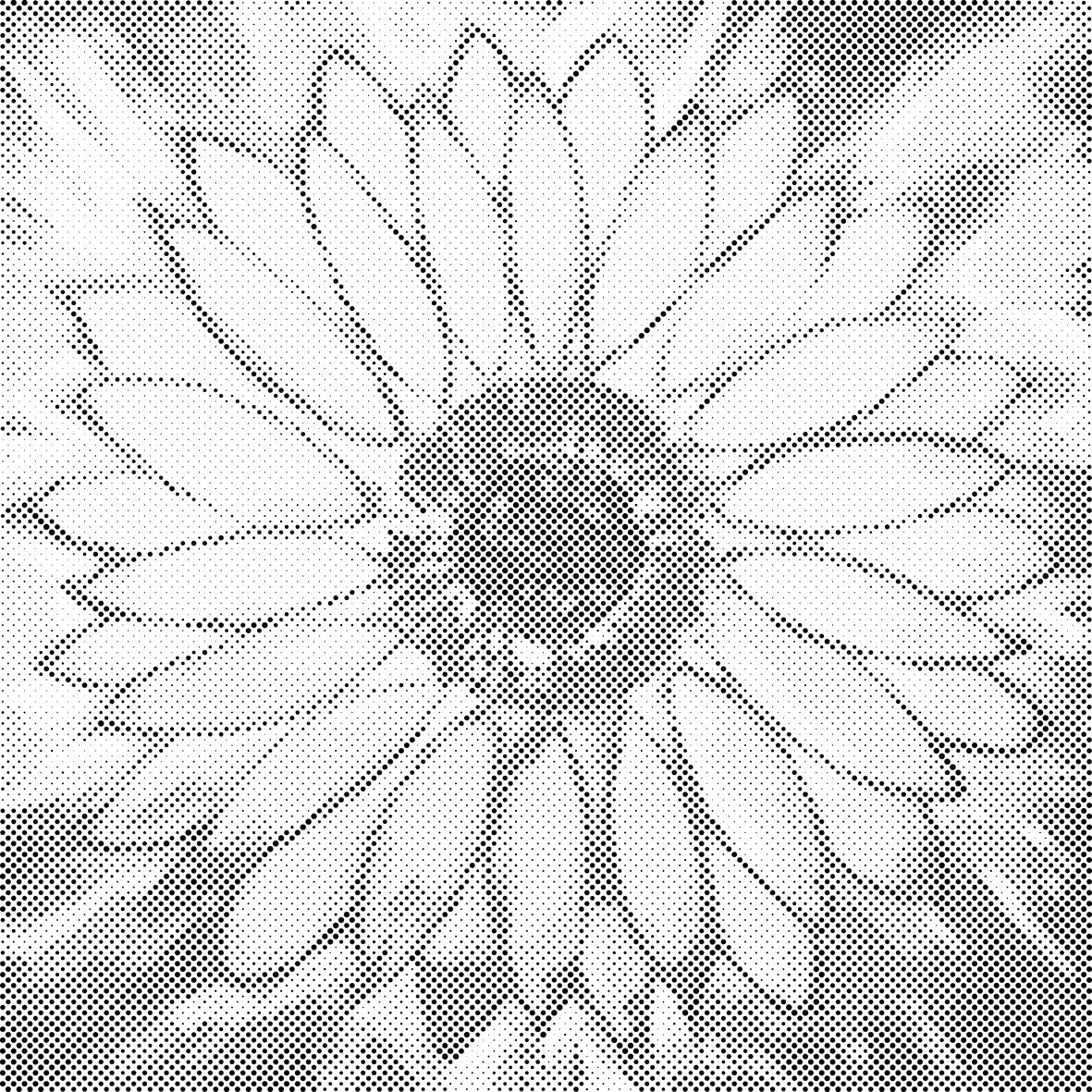 Strahlende Sonnenblume - Dottingo