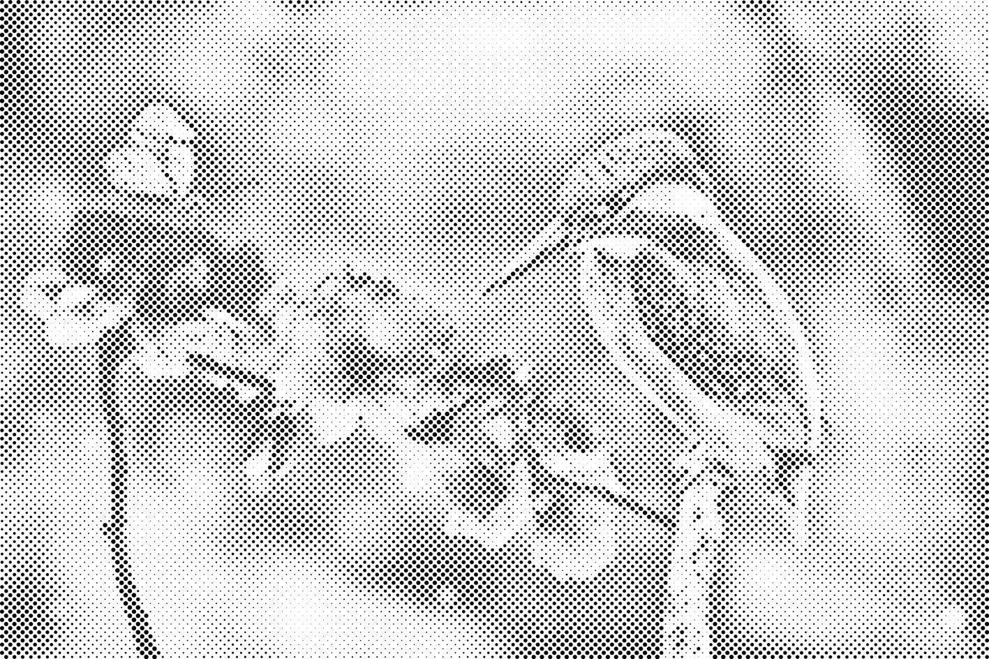 Schmetterling und Fischer - Dottingo