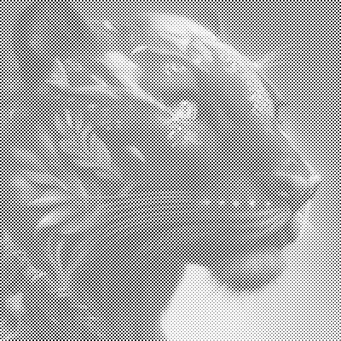 Schwarzer Puma - Dottingo