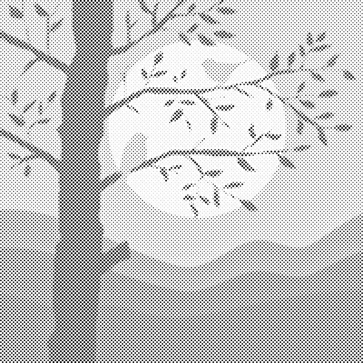 Vogel-Silhouette - Dottingo