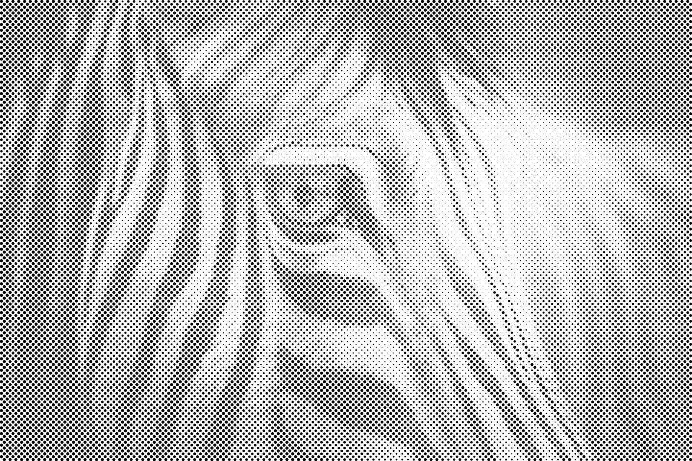 Zebra aus Nahsicht - Dottingo