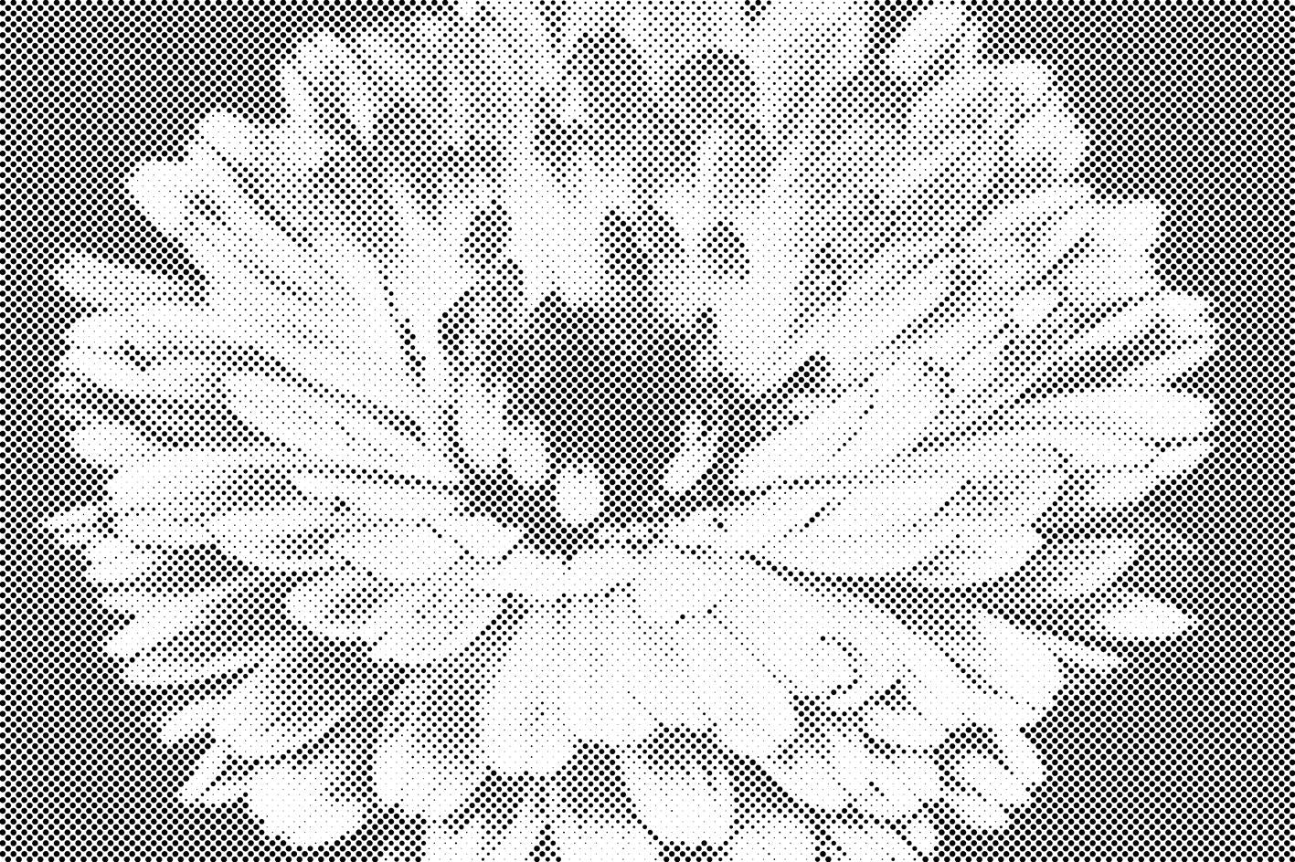 Frühlingsblume - Dottingo