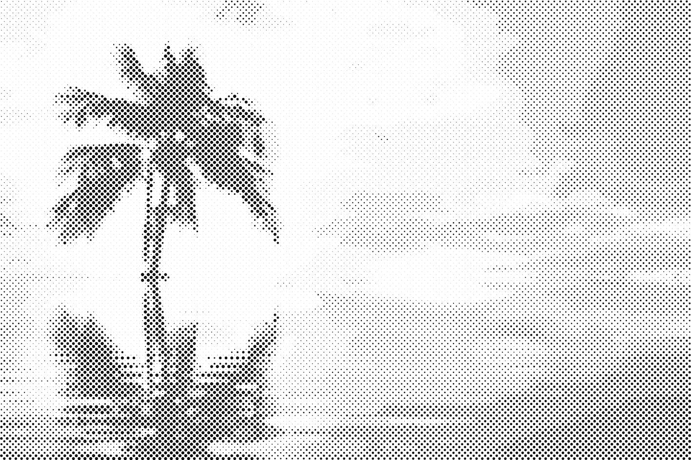 Palme im Meer - Dottingo