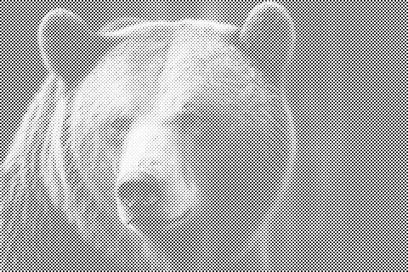 Grizzlybär - Dottingo