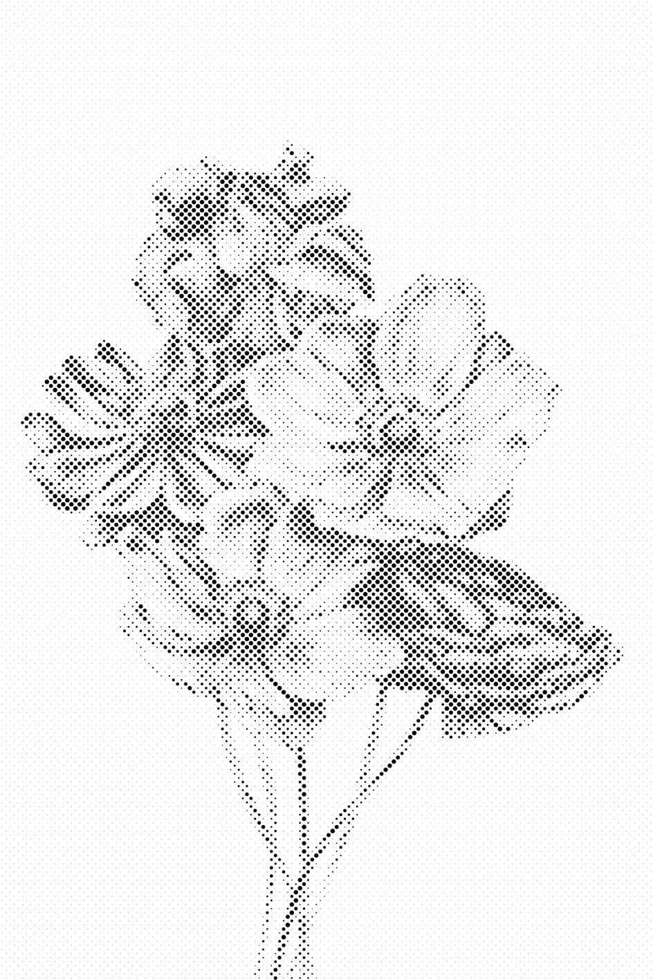 Illustration eines Blumenstraußes - Dottingo