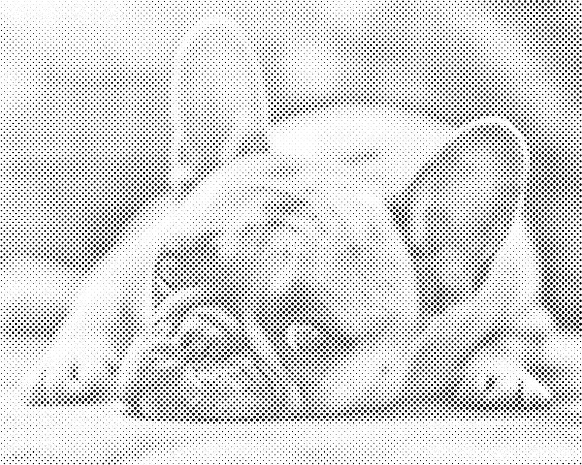 Bulldogge - Dottingo