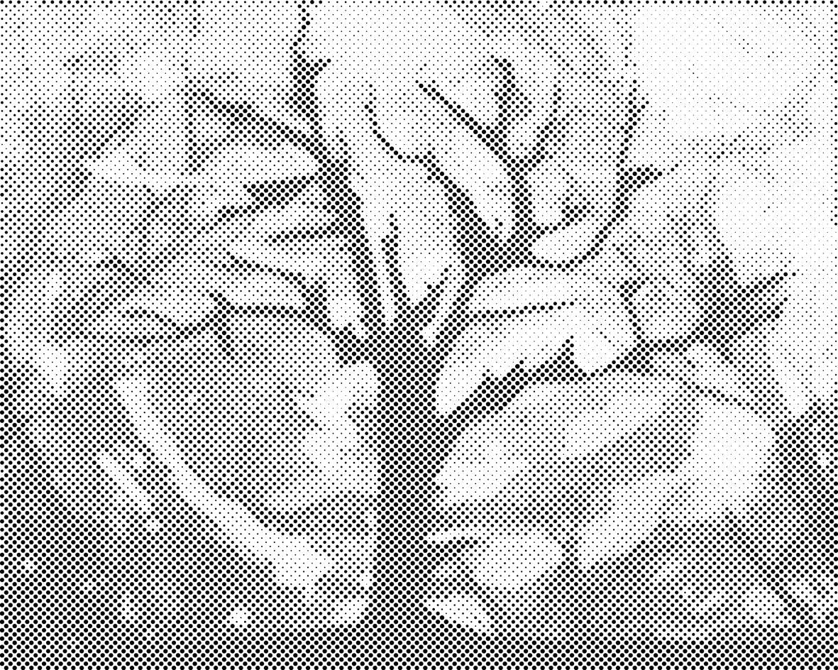 Baum mit zauberhaftem Hintergrund - Dottingo