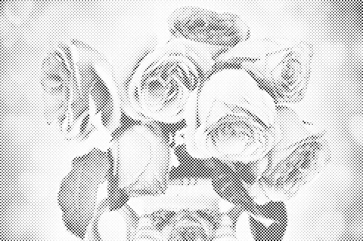 Rosen in einer Vase - Dottingo
