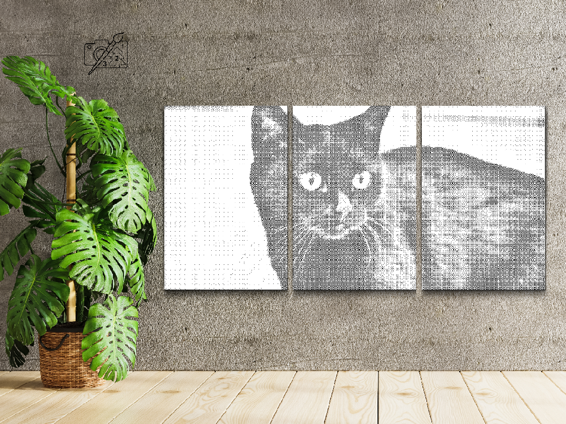 Wilde schwarze Katze (3er-Set) - Dottingo