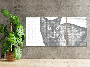 Wilde schwarze Katze (3er-Set) - Dottingo