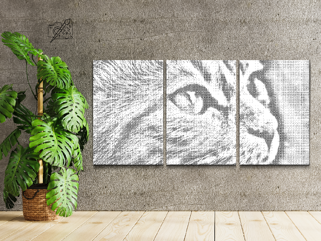 Niedliche Katze (3er-Set) - Dottingo