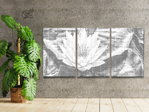 Lotus, Symbol der Weisheit (3er-Set) - Dottingo