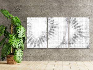 Kiwi Hintergrund (3er Set) - Dottingo
