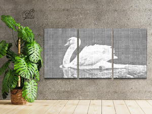 Weißer Schwan (3er-Set) - Dottingo