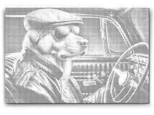 Hund in einem schwarzen Cabrio - Dottingo