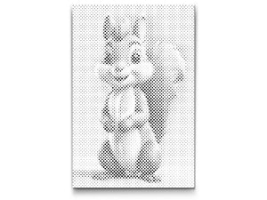 Eichhörnchen für Kinder - Dottingo