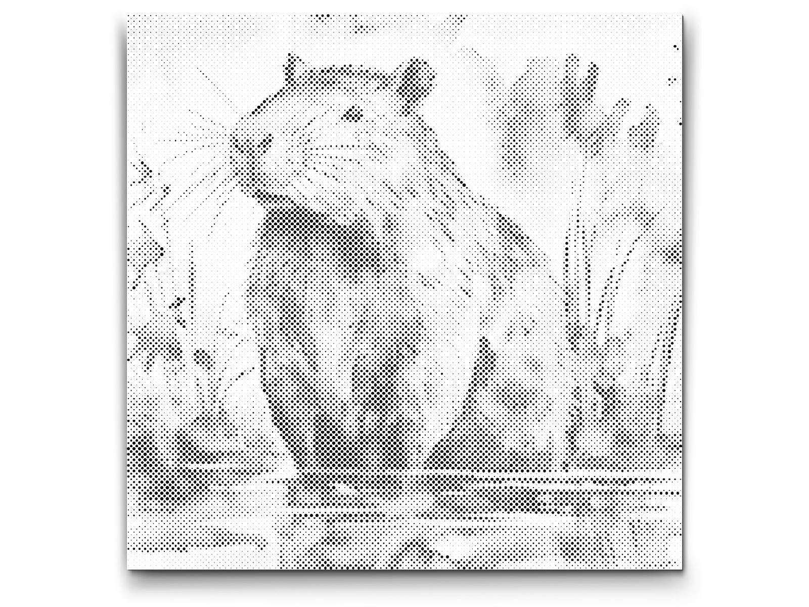 Capybara 2 - Dottingo