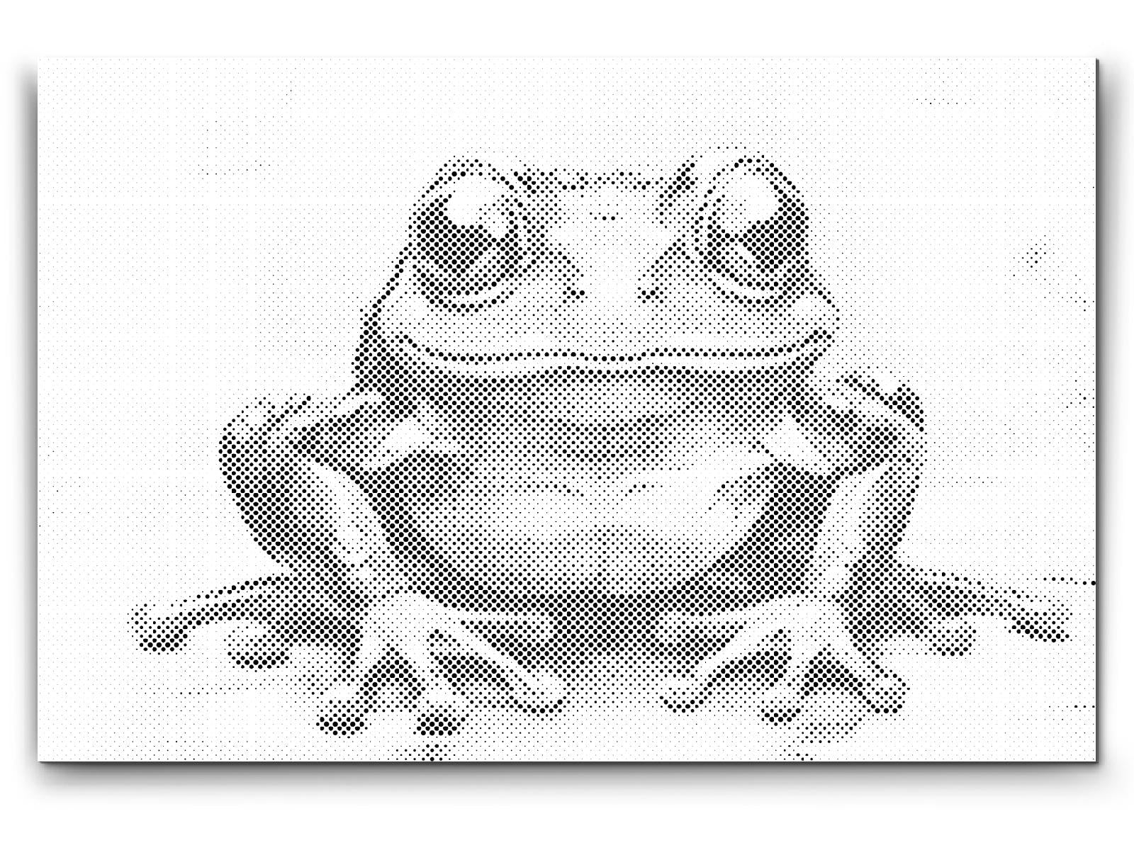 Fröhlicher Frosch - Dottingo