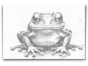 Fröhlicher Frosch - Dottingo