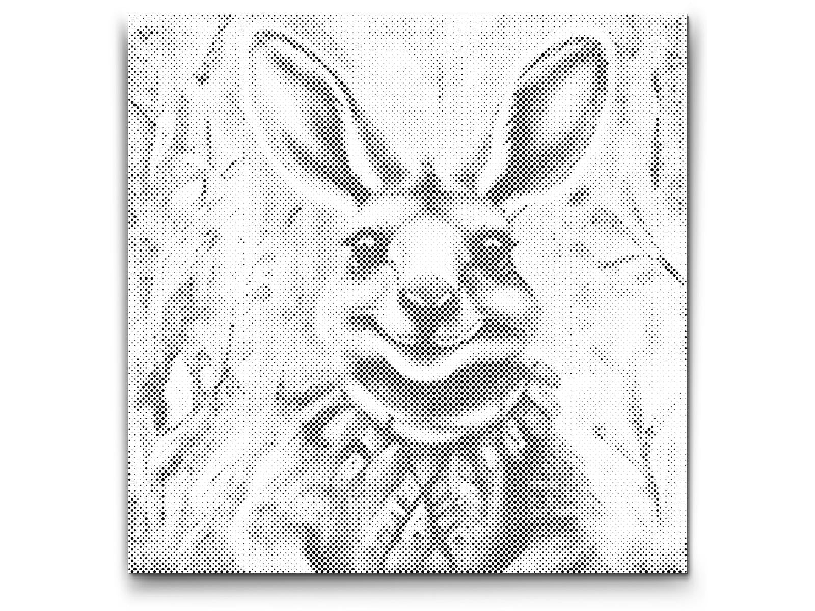 Fröhliches Känguru - Dottingo