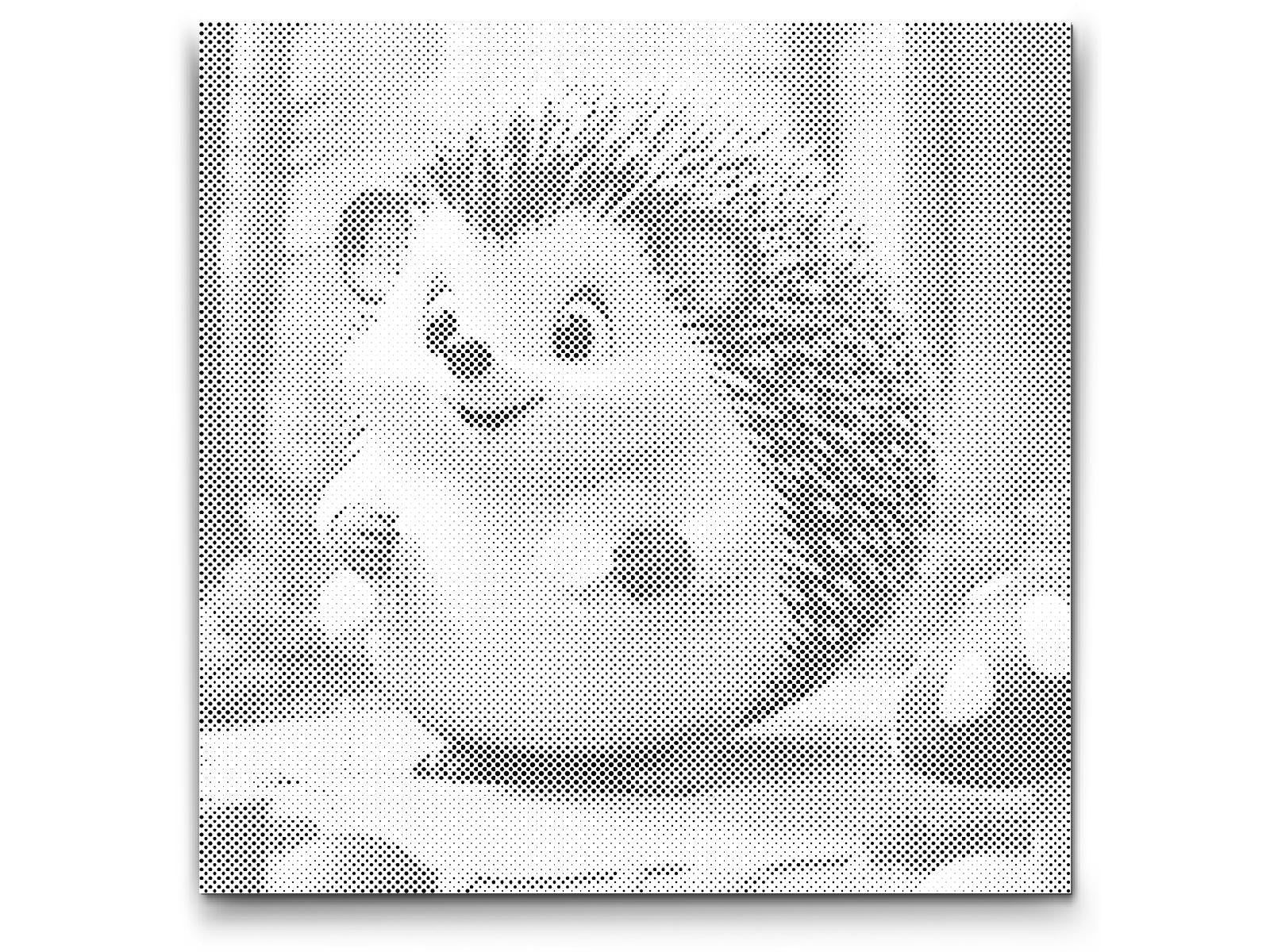 Süßer Igel - Dottingo