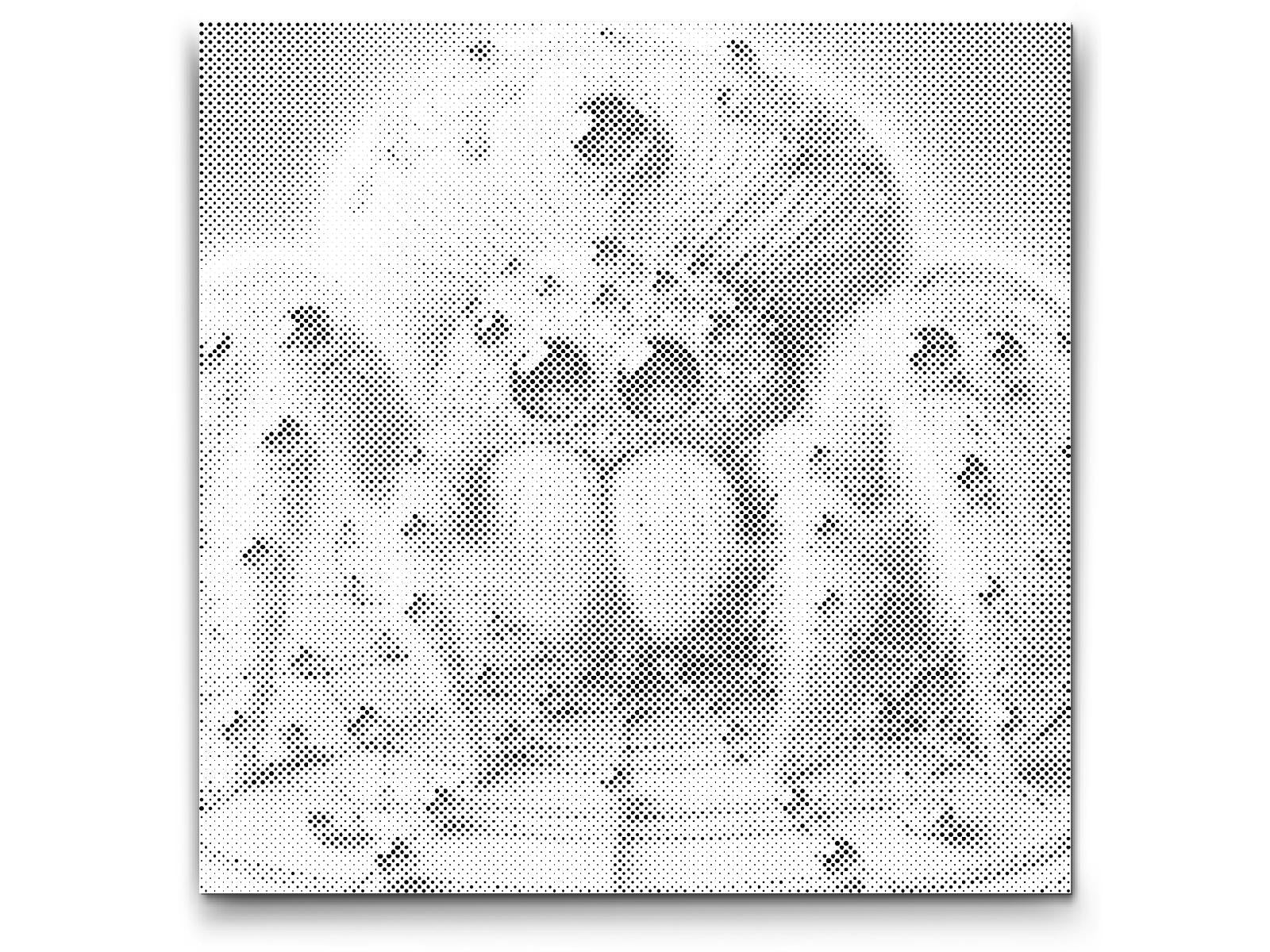 Geniale Spinne - Dottingo