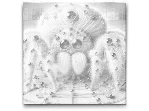 Geniale Spinne - Dottingo