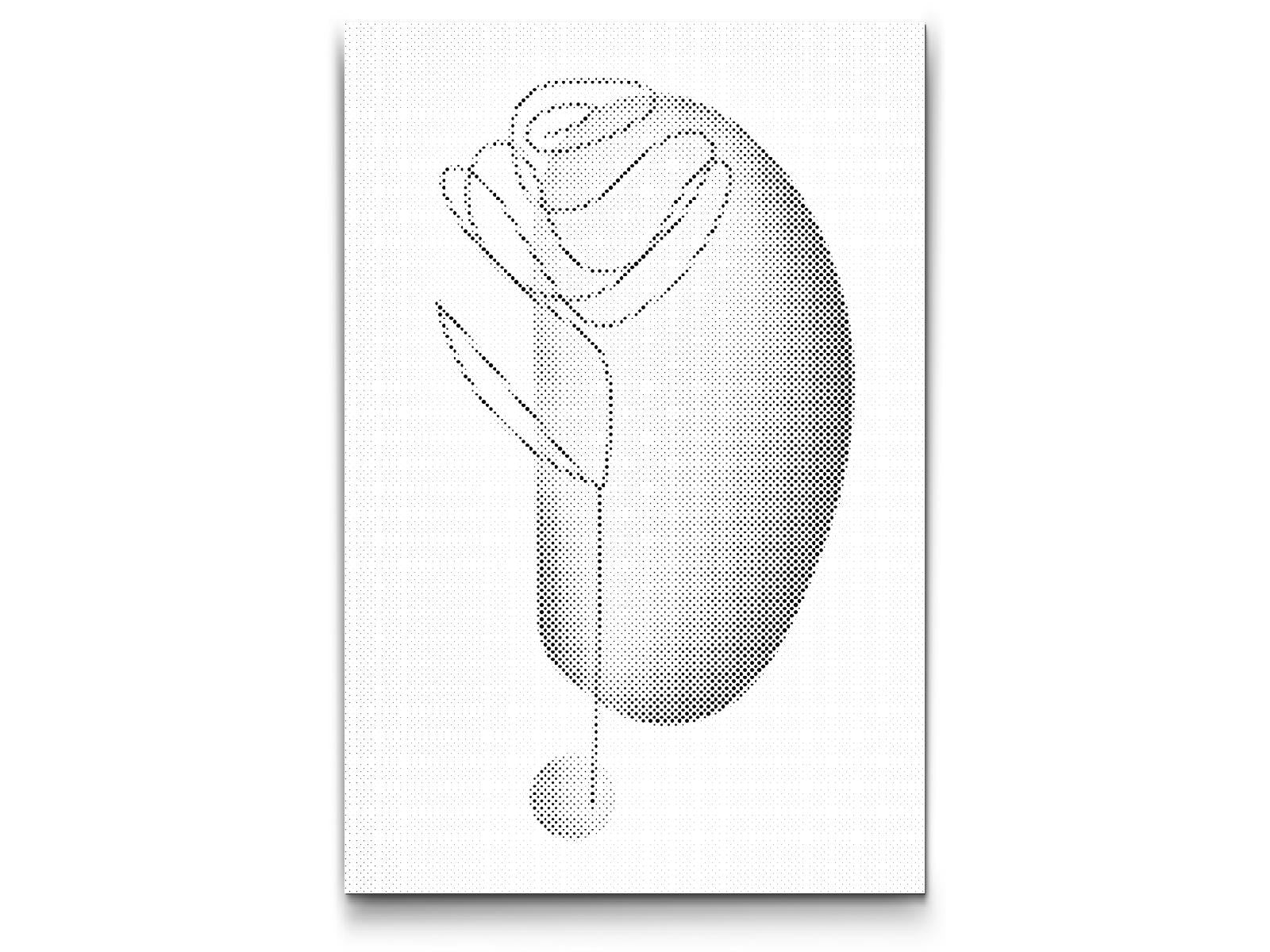 Dekorative Rosen - Dottingo