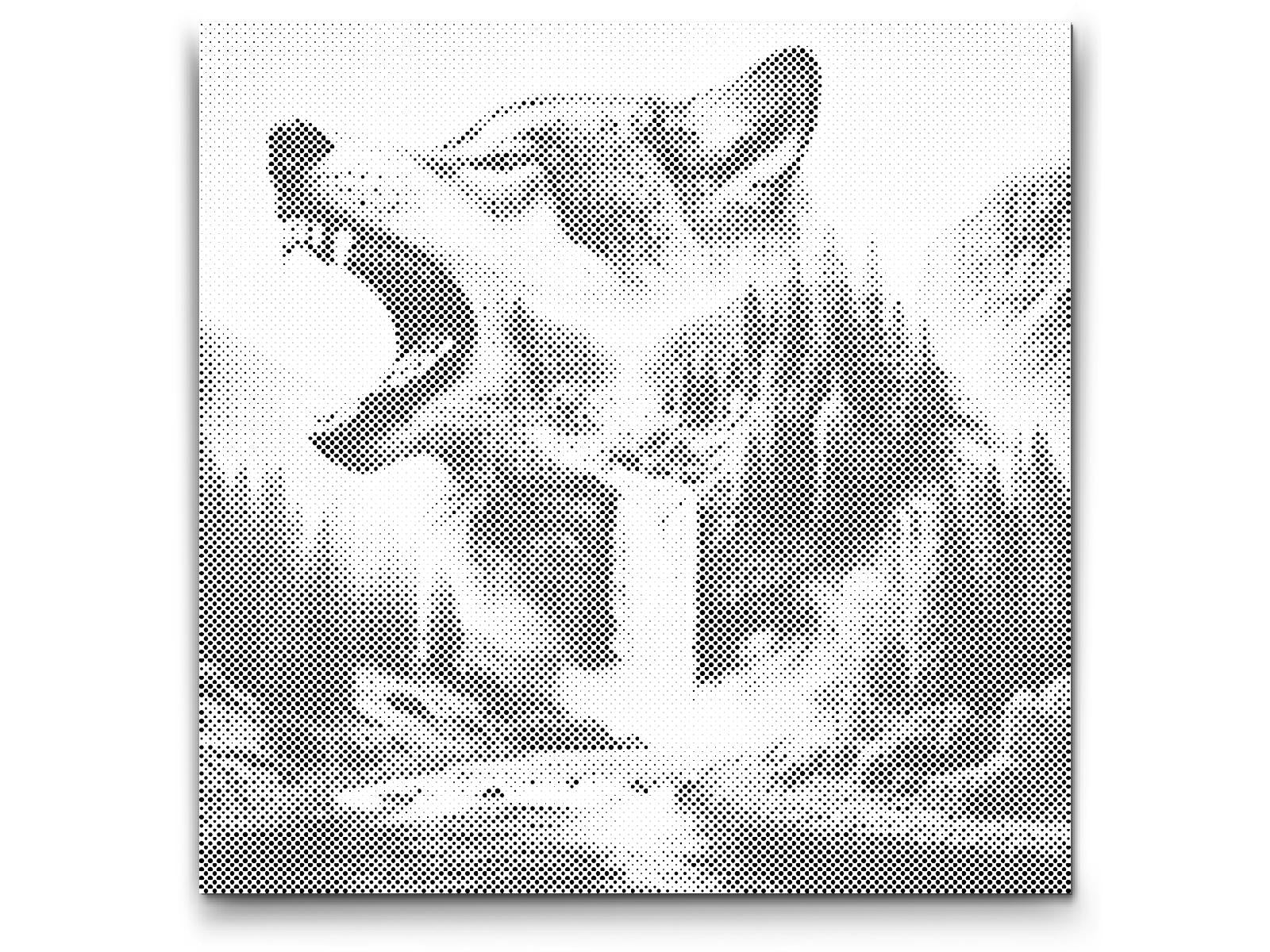 Wolf-Wasserfall - Dottingo