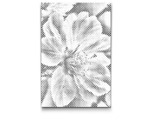 Kirschblüte - Dottingo