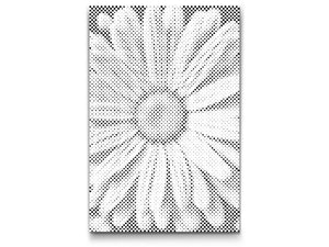 Gänseblümchenblüte - Dottingo