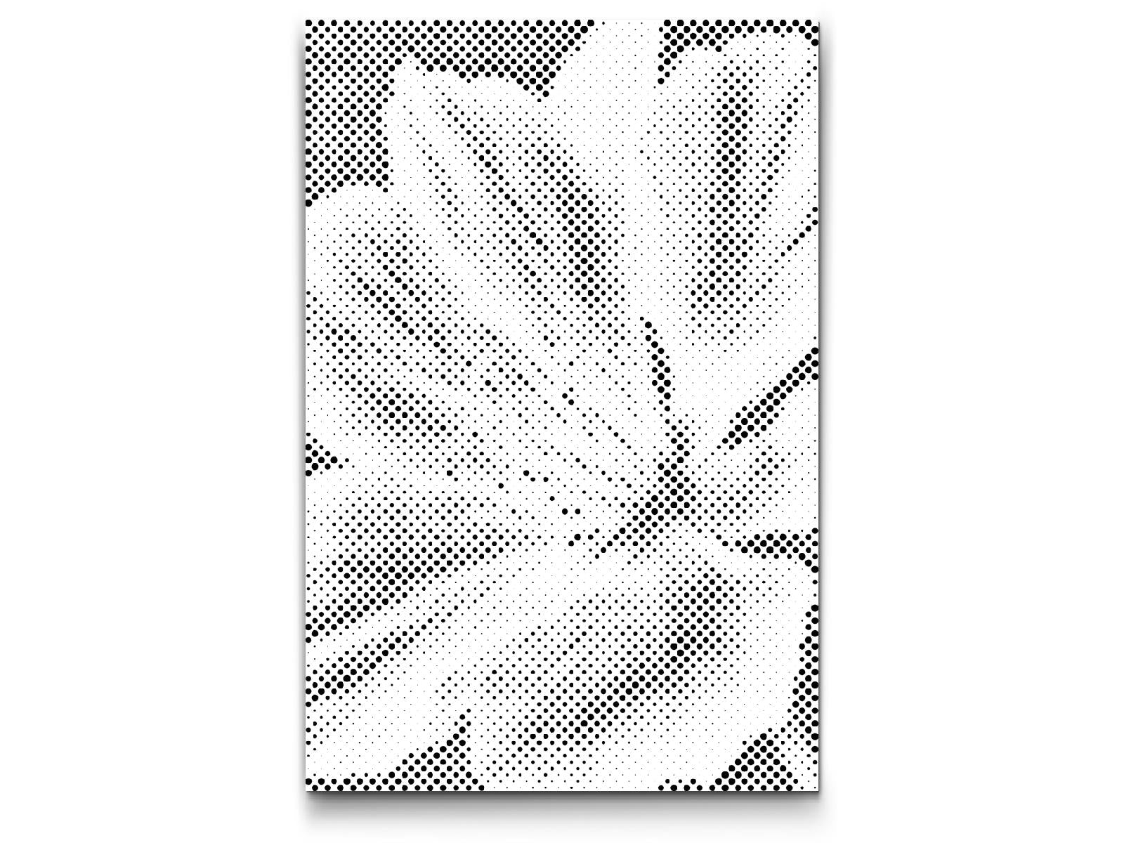 Pelargonienblüte - Dottingo