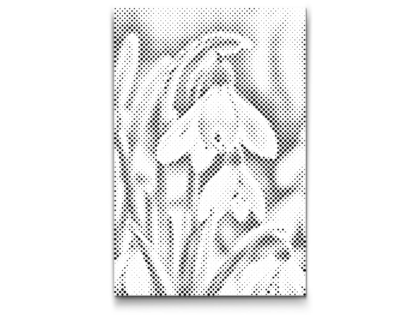 Schneeglöckchenblüte - Dottingo