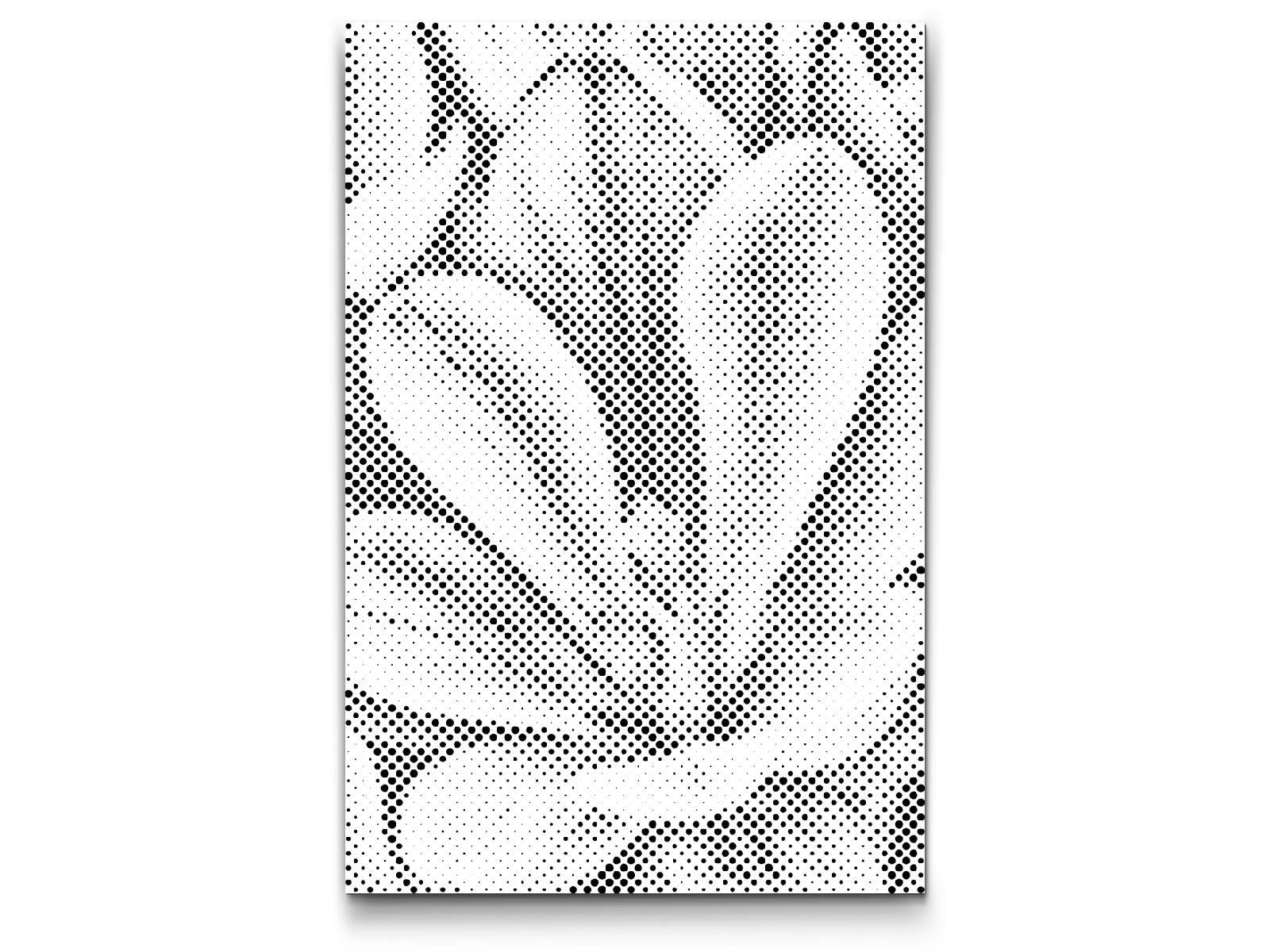 Krokusblüte - Dottingo