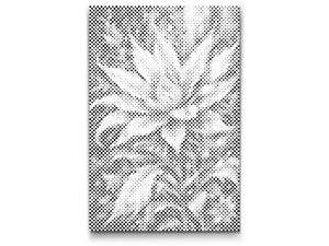 Magische Blume - Dottingo
