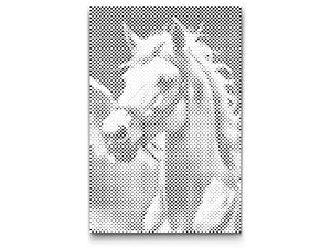 Weißer Pegasus in den Wolken - Dottingo
