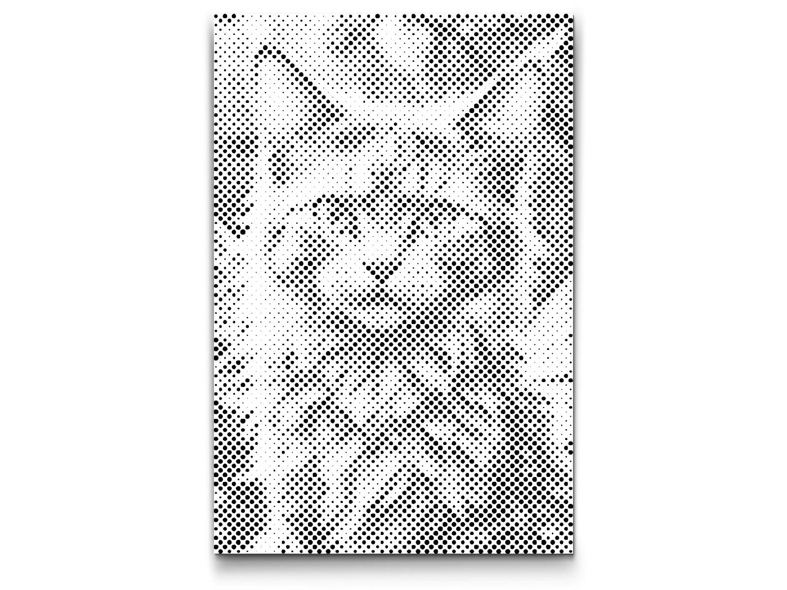 Magische geflügelte Katze - Dottingo