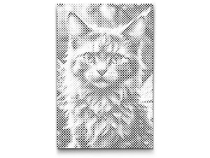 Magische geflügelte Katze - Dottingo