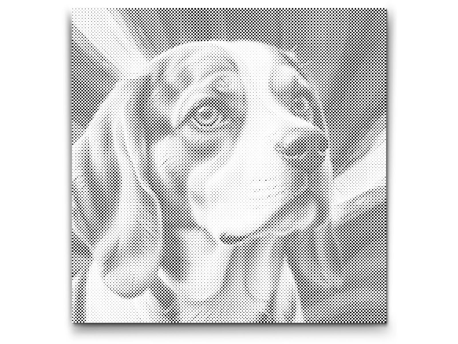 Beagle in Rot- und Blautönen - Dottingo