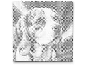 Beagle in Rot- und Blautönen - Dottingo